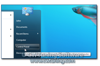 WinTuning 7: Optimize, boost, maintain and recovery Windows 7 - All-in-One Utility - Remove «Control Panel» item