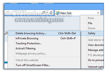 Clear browser history on exit - WinTuning Utilities: Optimize, boost, maintain and recovery Windows 7, 10, 8 - All-in-One Utility
